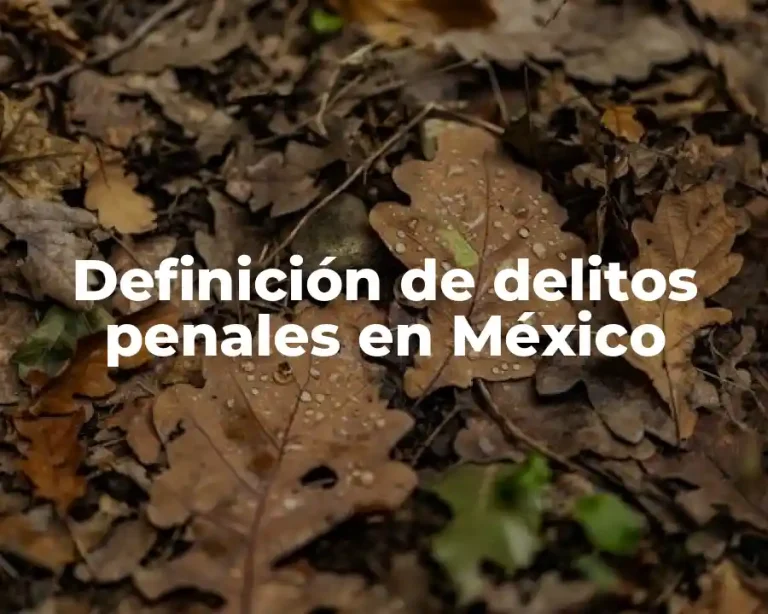 Definición de delitos penales en México