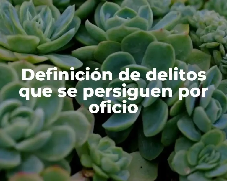 Definición de delitos que se persiguen por oficio