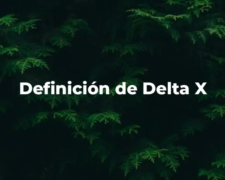 Definición de Delta X