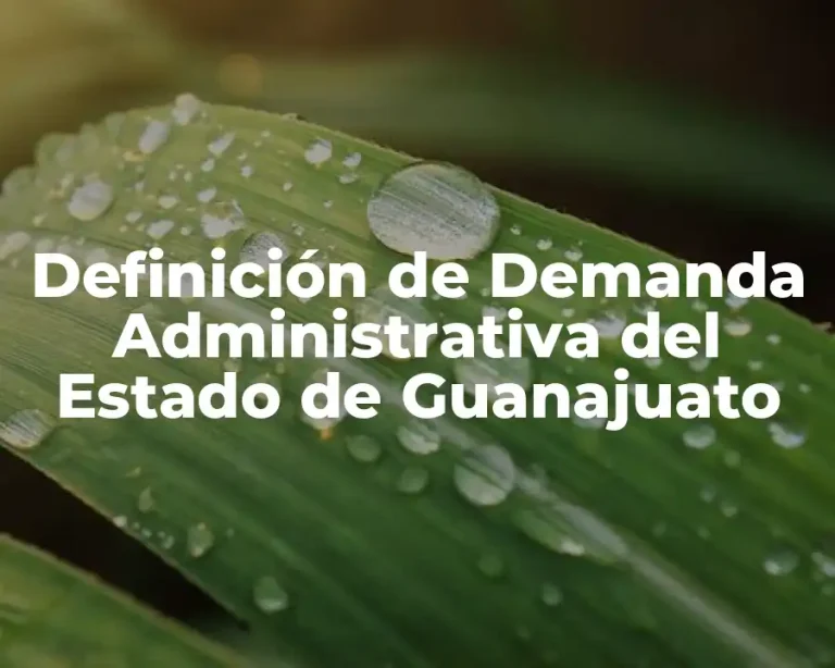 Definición de Demanda Administrativa del Estado de Guanajuato