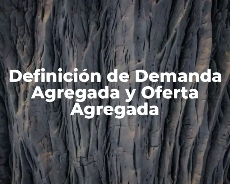 Definición de Demanda Agregada y Oferta Agregada