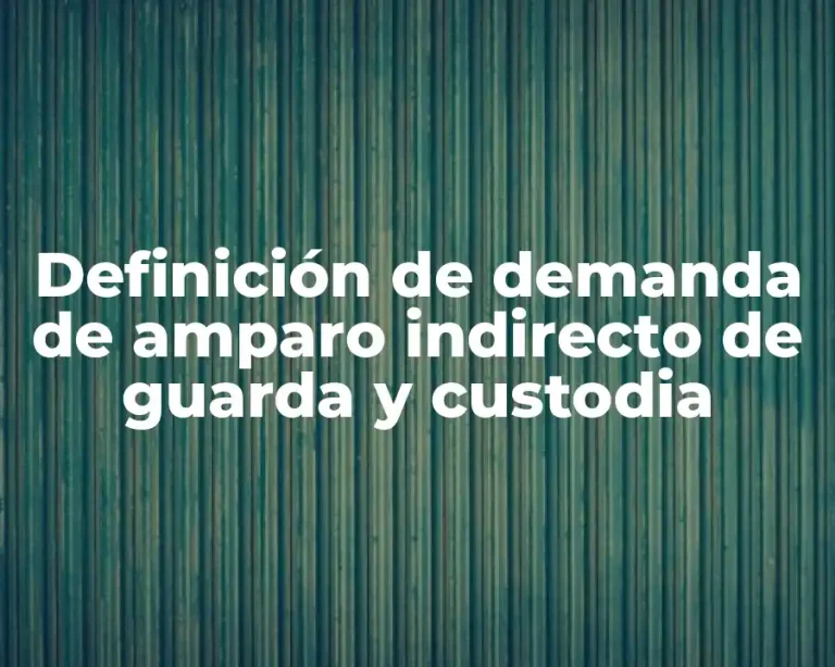 Definición de demanda de amparo indirecto de guarda y custodia