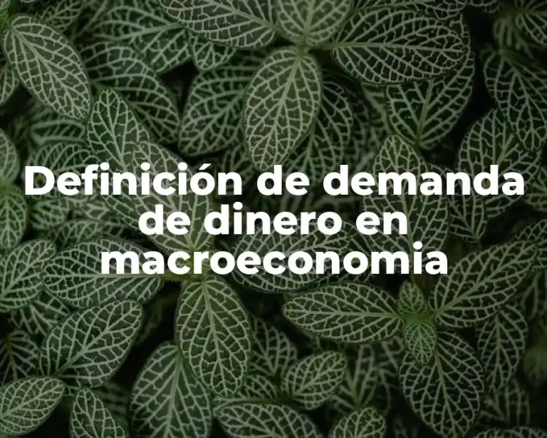 Definición de demanda de dinero en macroeconomia