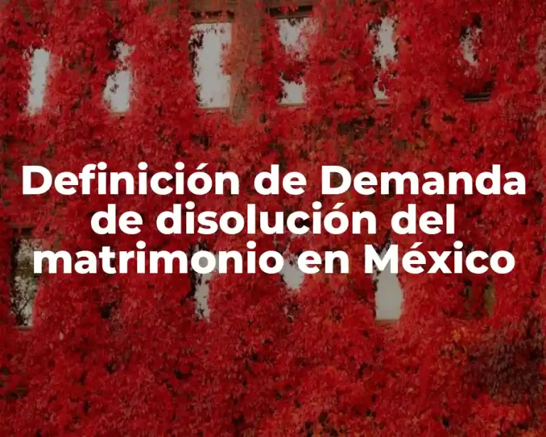 Definición de Demanda de disolución del matrimonio en México