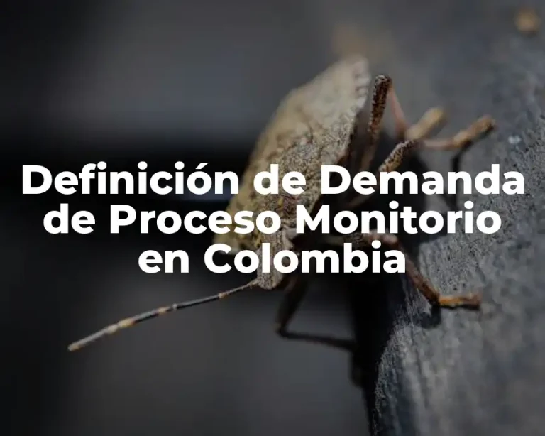 Definición de Demanda de Proceso Monitorio en Colombia