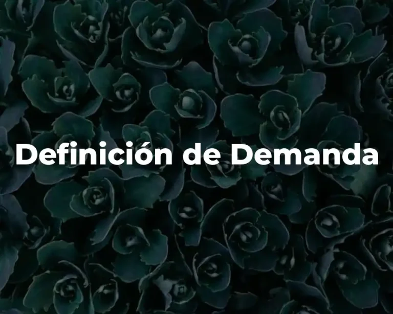 Definición de Demanda