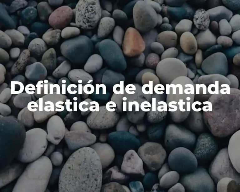 Definición de demanda elastica e inelastica