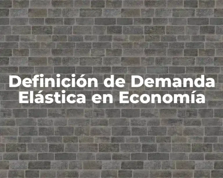 Definición de Demanda Elástica en Economía