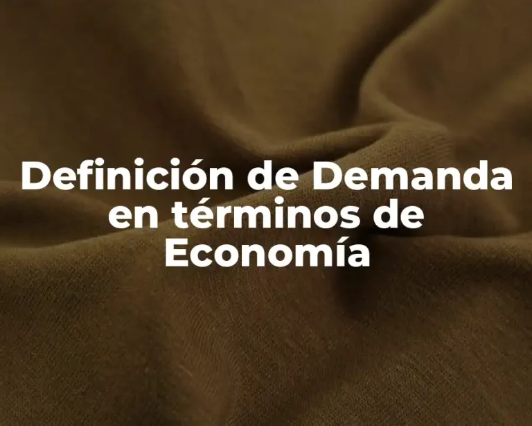Definición de Demanda en términos de Economía