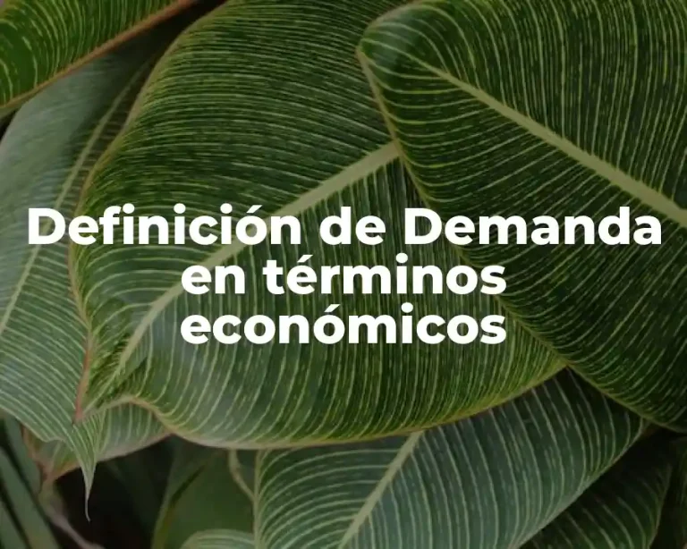 Definición de Demanda en términos económicos