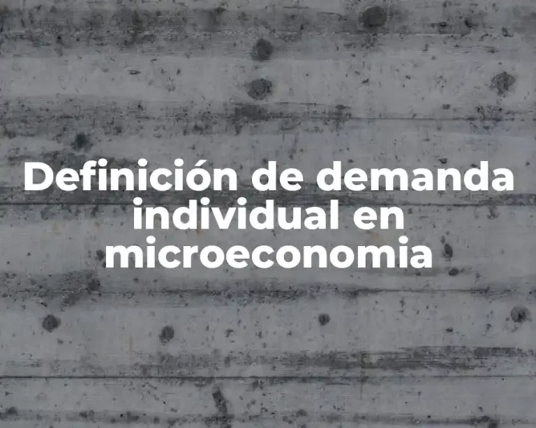 Definición de demanda individual en microeconomia