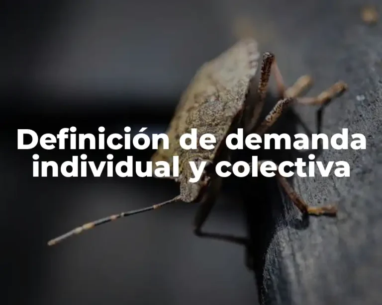 Definición de demanda individual y colectiva