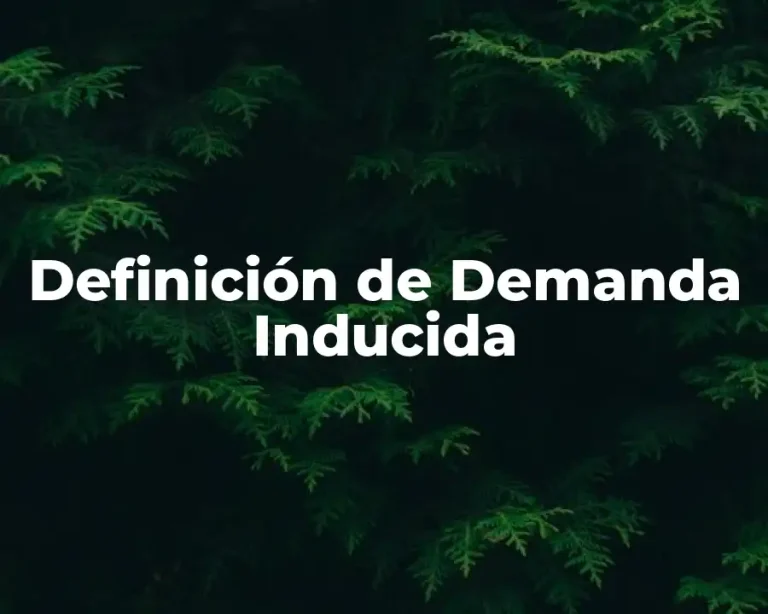Definición de Demanda Inducida