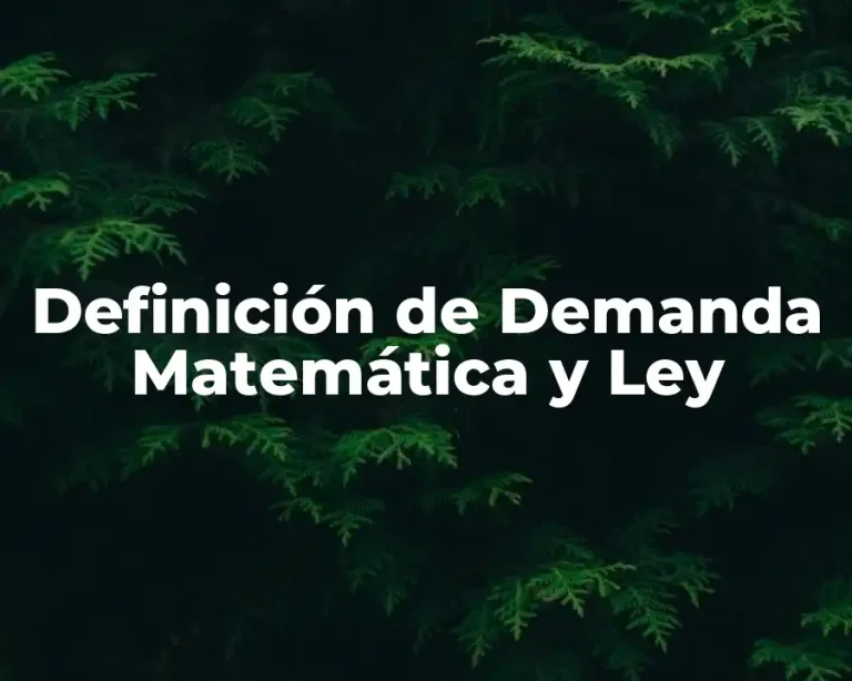 Definición de Demanda Matemática y Ley