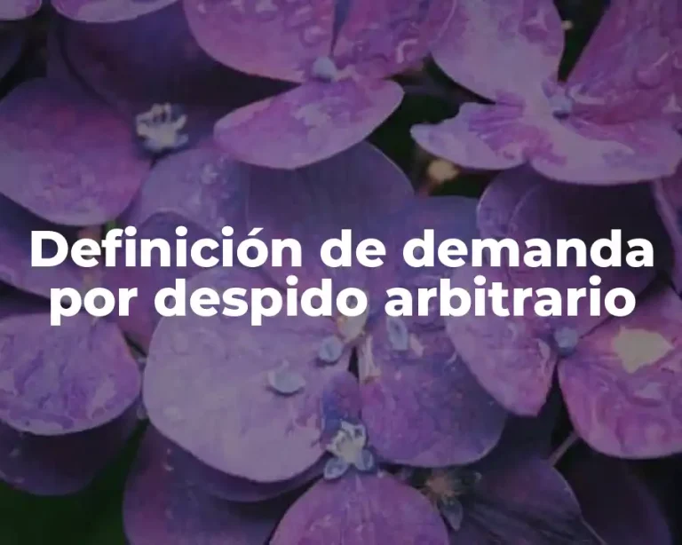 Definición de demanda por despido arbitrario