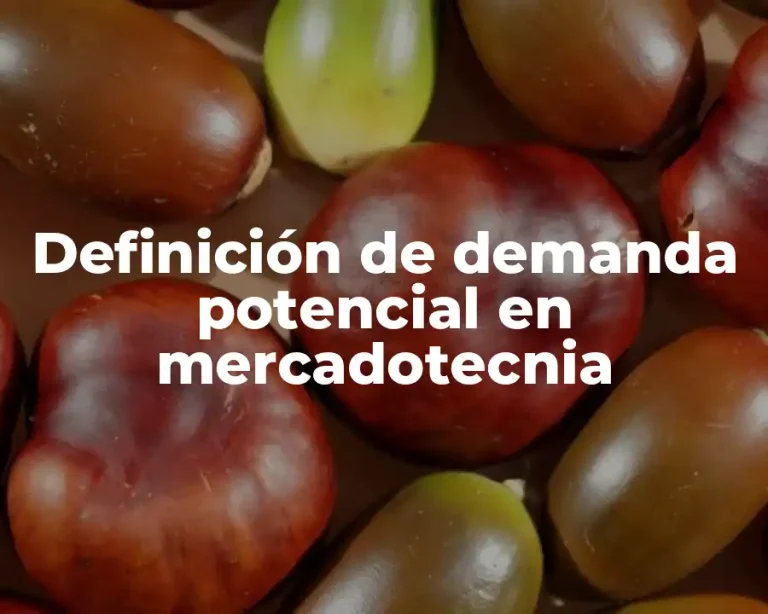 Definición de demanda potencial en mercadotecnia