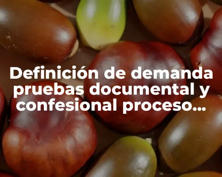 Definición de demanda pruebas documental y confesional proceso mercantil