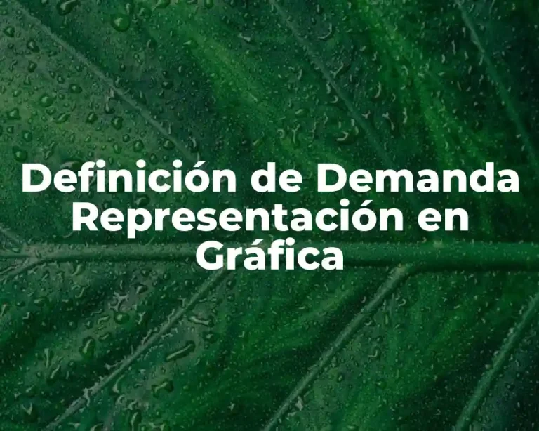 Definición de Demanda Representación en Gráfica