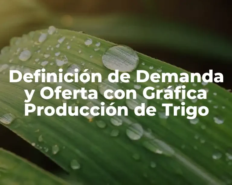 Definición de Demanda y Oferta con Gráfica Producción de Trigo