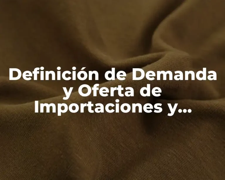 Definición de Demanda y Oferta de Importaciones y Exportaciones