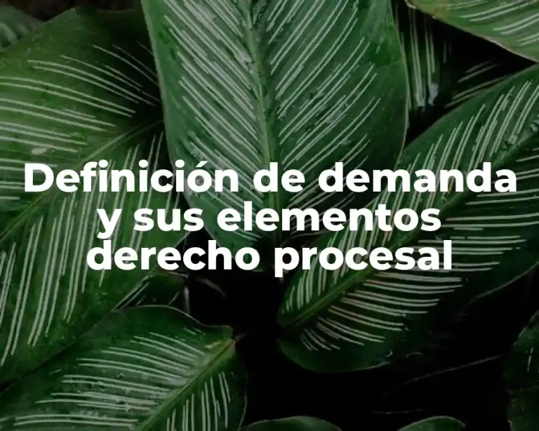 Definición de demanda y sus elementos derecho procesal