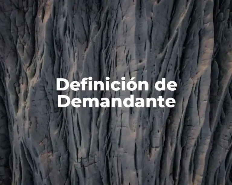 Definición de Demandante