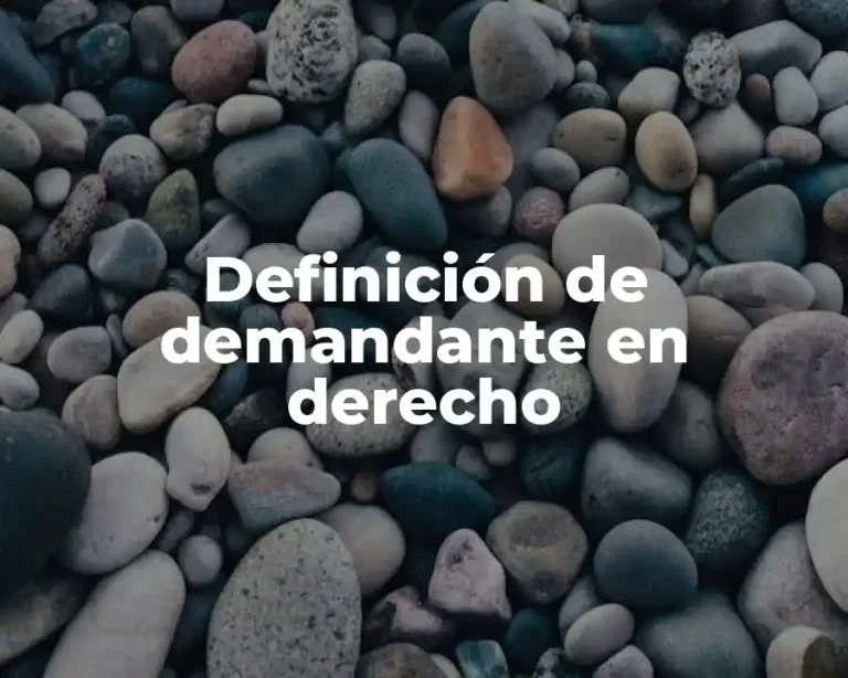 Definición de demandante en derecho