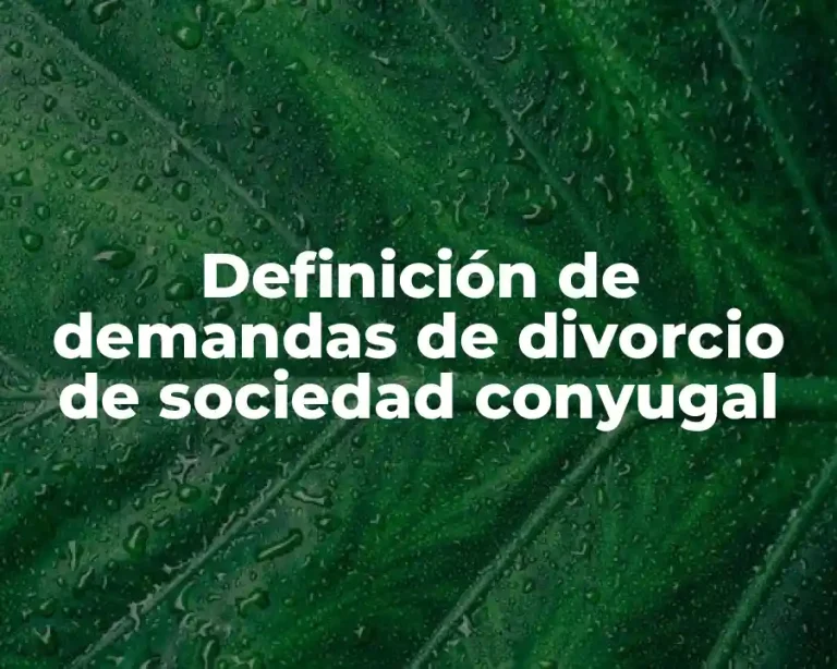 Definición de demandas de divorcio de sociedad conyugal