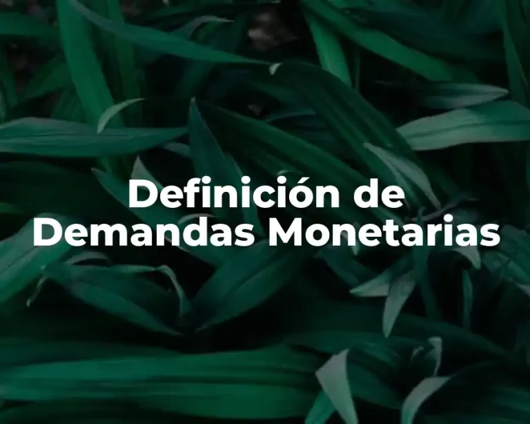 Definición de Demandas Monetarias