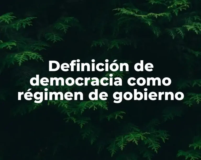 Definición de democracia como régimen de gobierno