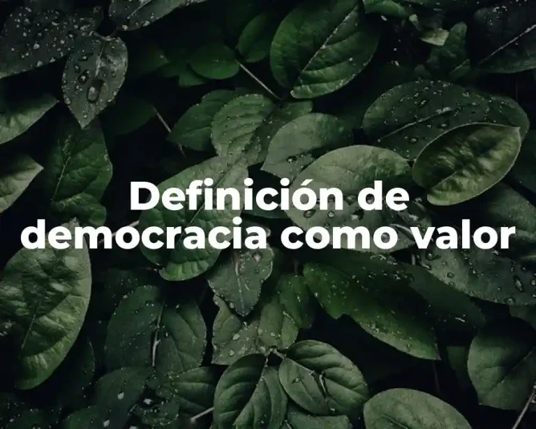 Definición de democracia como valor
