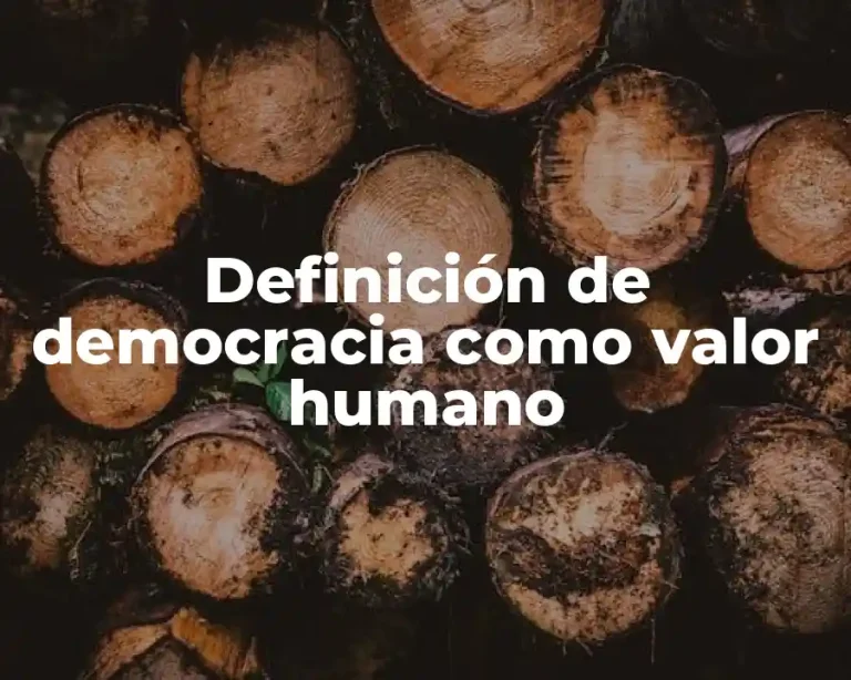 Definición de democracia como valor humano