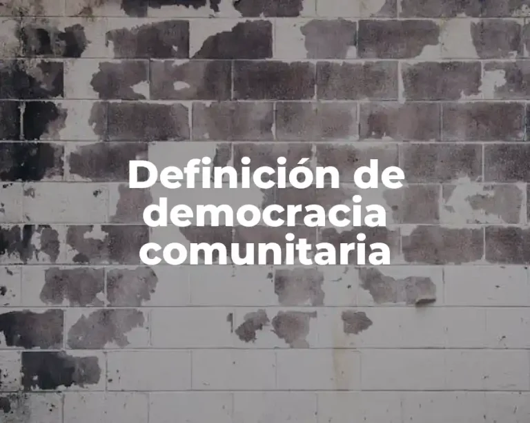 Definición de democracia comunitaria