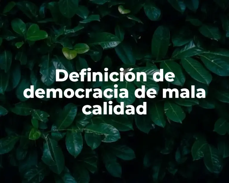 Definición de democracia de mala calidad