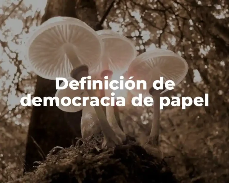 Definición de democracia de papel