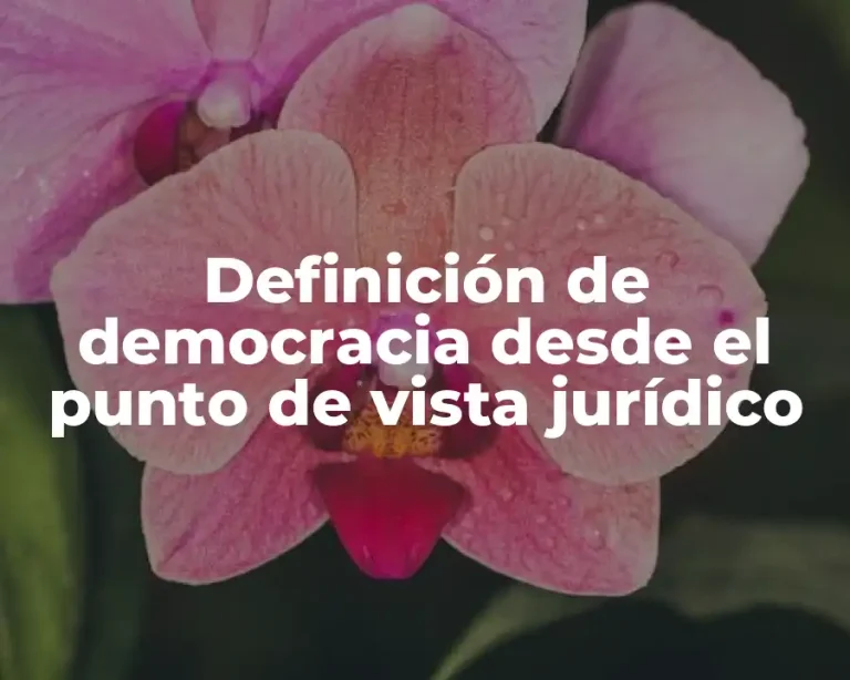 Definición de democracia desde el punto de vista jurídico