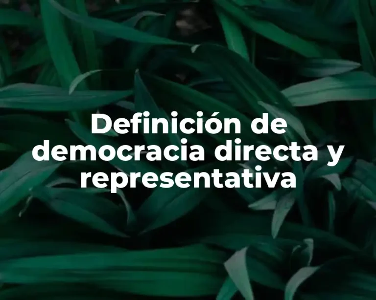 Definición de democracia directa y representativa