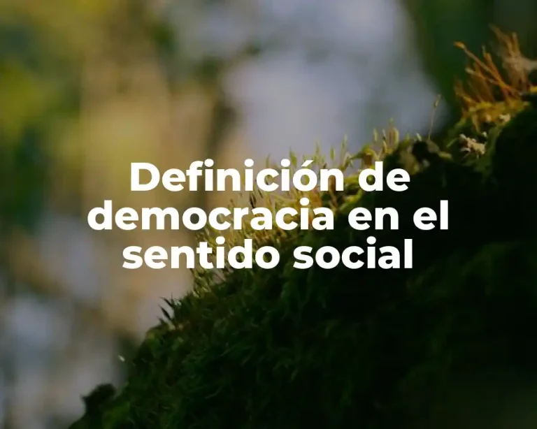 Definición de democracia en el sentido social