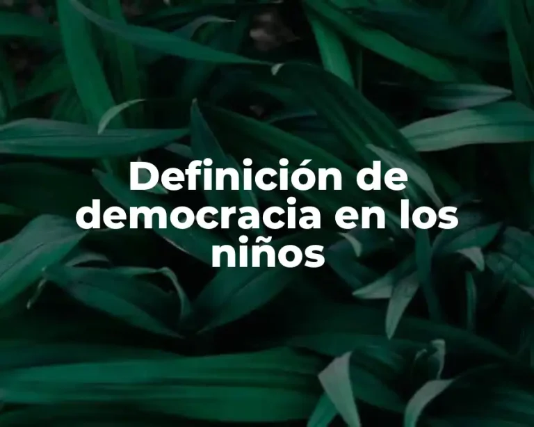 Definición de democracia en los niños