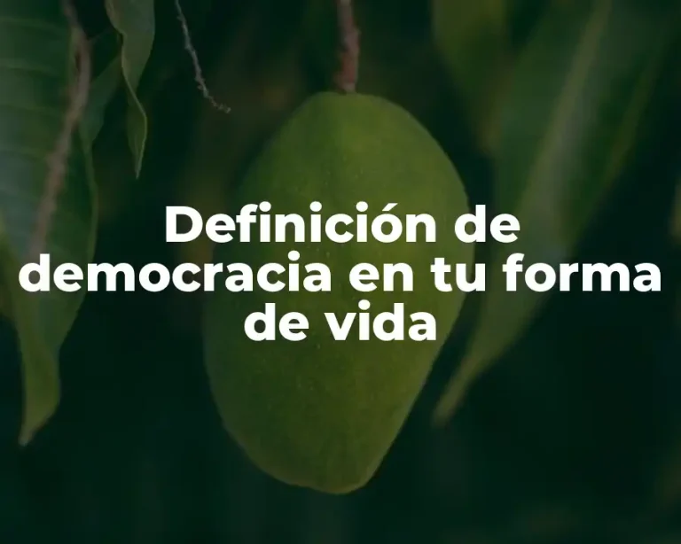 Definición de democracia en tu forma de vida