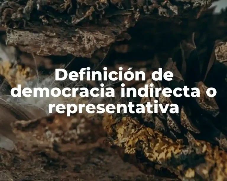 Definición de democracia indirecta o representativa