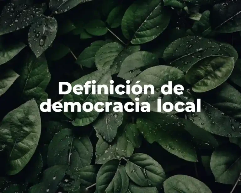 Definición de democracia local