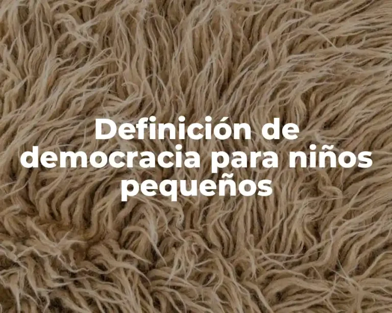 Definición de democracia para niños pequeños