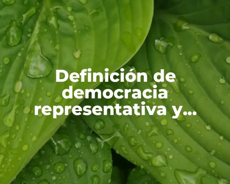 Definición de democracia representativa y participativa