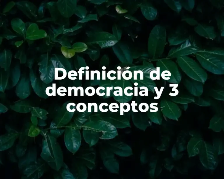 Definición de democracia y 3 conceptos