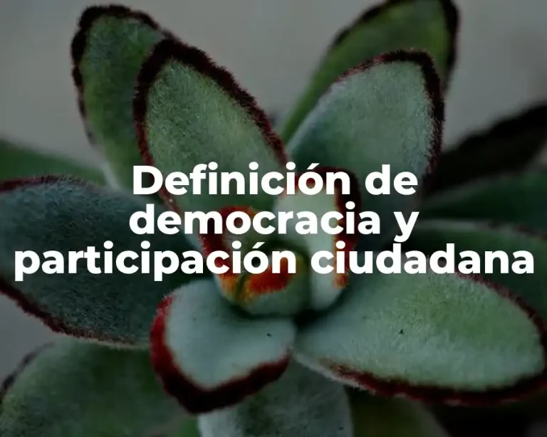 Definición de democracia y participación ciudadana