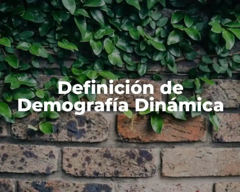 Definición de Demografía Dinámica
