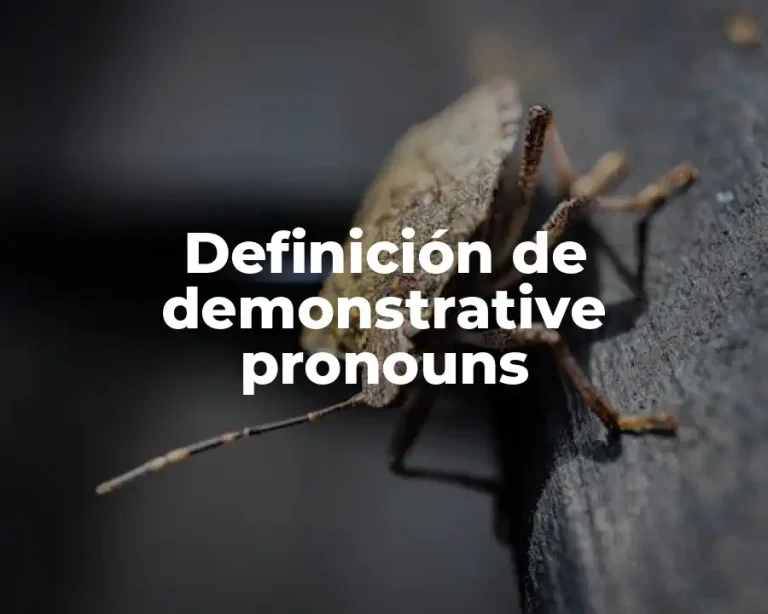 Definición de demonstrative pronouns