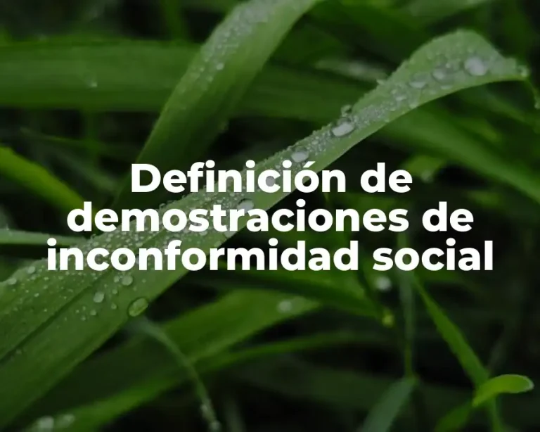 Definición de demostraciones de inconformidad social