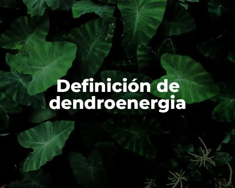 Definición de dendroenergia